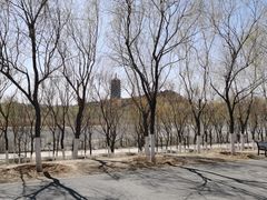 -永定河休闲森林公园