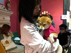 -猫色咖啡·猫咖
