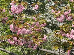 -江南大学(蠡湖校区)