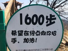 -大岭沟猕猴桃谷风景区