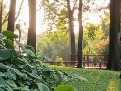 -云溪植物园