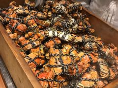 -新发展亚太JW万豪酒店·福苑咖啡厅