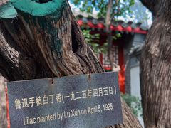 -北京鲁迅博物馆（北京新文化运动纪念馆）鲁博馆区