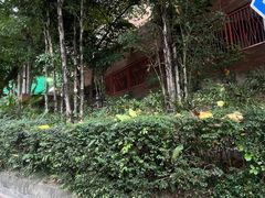 -香港理工大学