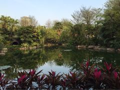 iphone_upload_pic-厦门日月谷温泉渡假村