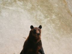 -哈尔滨北方森林动物园