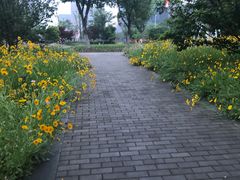 -映月湖中央公园
