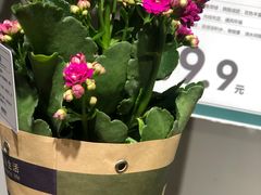 -鹿岛会员店 (龙湖三千集天街店)