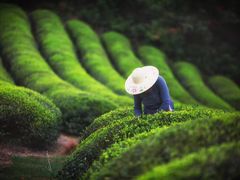 -宁波余姚老柿林山居度假村