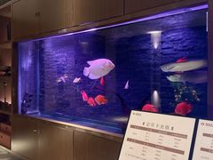 -手佳·水疗汇(嘉益店)