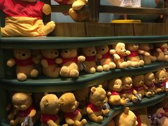 -小熊维尼历险之旅