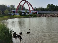 -大连理工大学(凌水校区)