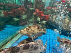 -聚福宝合苑食府(南头镇店)