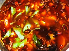 -重庆乌鱼庄·龙滋鲜(青羊大道店)