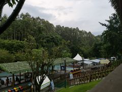 -黄龙溪欢乐田园