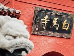 -洛阳白马寺