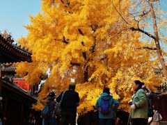 -承恩寺