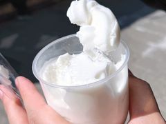 -洪馨椰子