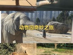 -杭州野生动物世界