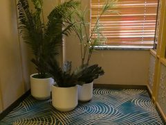 -艺水间水汇
