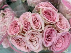 -麦德龙(张家港店)