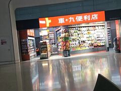 -郑州新郑国际机场-T2航站楼