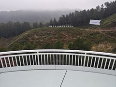 -九龙江国家森林公园