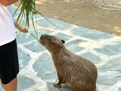 -南戴河国际娱乐中心