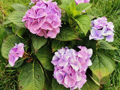 -小仙居·农家宴烤羊· 农庄