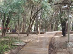 -白塔山公园