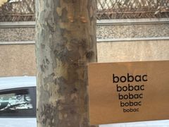 -BOBAC