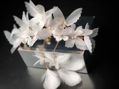 -金夫人化妆摄影职业培训学校