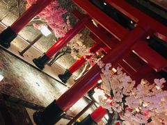 -蓝鲸湾汤泉(包河店)