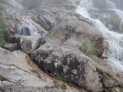-霸王岭国家森林公园