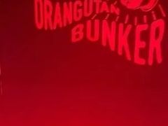 -Orangutan Bunker猩猩地堡酒吧(兰桂坊店)