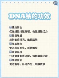 -香榭丽舍·海菲秀·皮肤管理痘敏肌修护