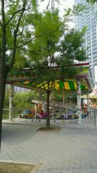 -大望京儿童游乐场