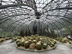 -深圳仙湖植物园