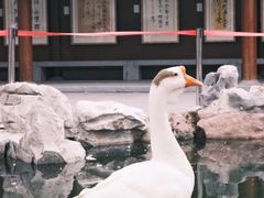-龙华寺