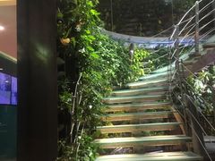 -肉串汪(望京店)