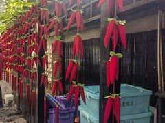 -正宗天津烧麦馆(柳州路店)