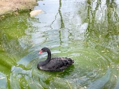 -济南野生动物世界