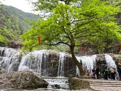 -刘伯温故里景区百丈漈