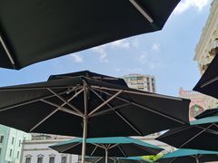 -柠檬车露(卖草地店)