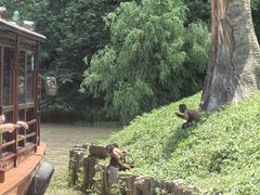 -上海野生动物园