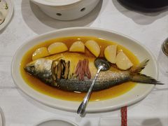 鸡油花雕蒸鲥鱼-和记小菜(东方店)