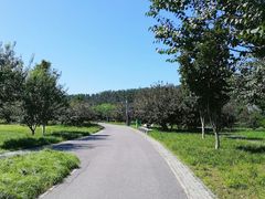 -东郊湿地公园