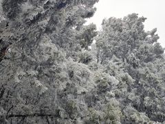 -龙洞风景区-藏龙涧