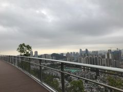 -板樟山森林公园