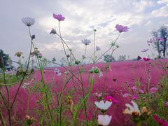 -汉长安城未央宫国家考古遗址公园